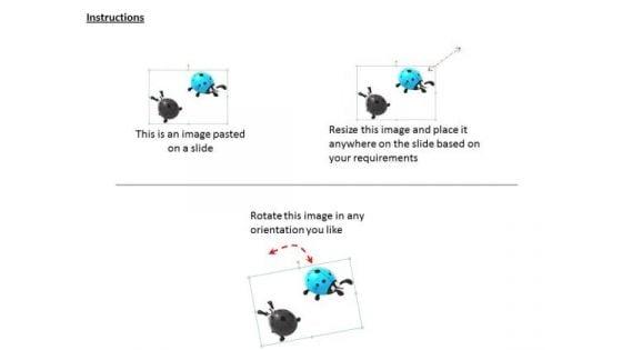 stock_photo_lady_bug_black_and_lady_bug_blue_powerpoint_slide_2.jpg