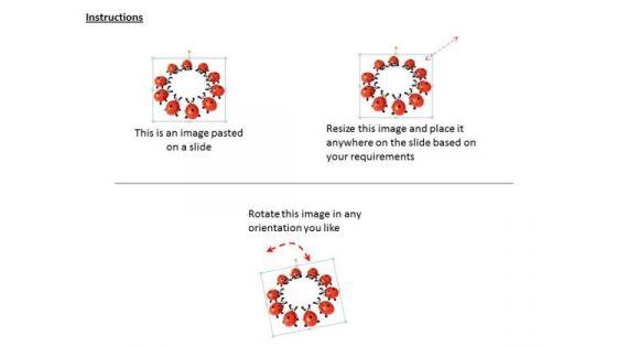 stock_photo_lady_bugs_in_circle_powerpoint_template_2.jpg