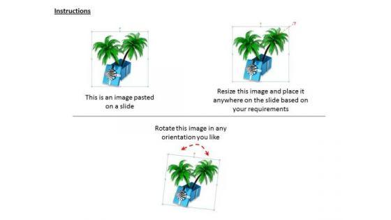stock_photo_marketing_concepts_palm_tree_gift_of_nature_business_pictures_images_2.jpg