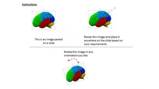 stock_photo_multicolored_brain_powerpoint_slide_2.jpg