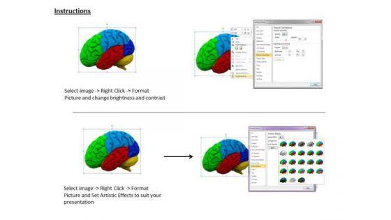 stock_photo_multicolored_brain_powerpoint_slide_3.jpg