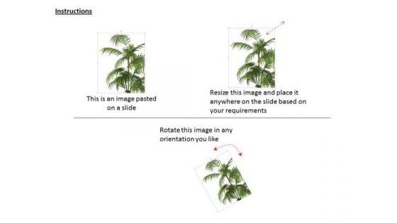stock_photo_plant_trees_for_environment_powerpoint_slide_2.jpg