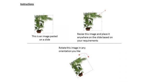 stock_photo_plant_trees_save_earth_conceptual_image_powerpoint_slide_2.jpg