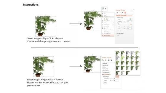 stock_photo_plant_trees_save_earth_conceptual_image_powerpoint_slide_3.jpg