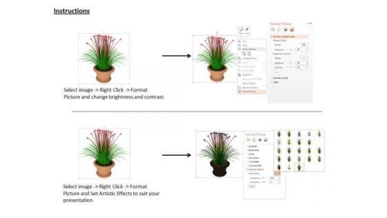 stock_photo_plant_with_vase_for_home_decoration_powerpoint_slide_3.jpg