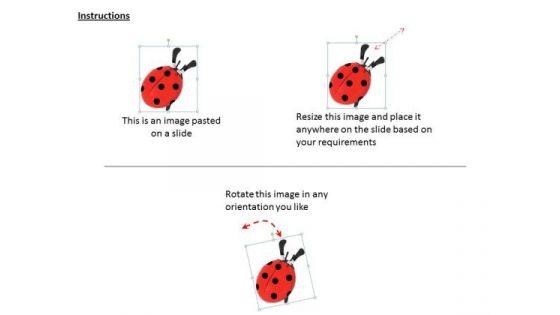 stock_photo_red_lady_bug_on_white_background_powerpoint_slide_2.jpg