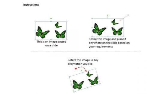 stock_photo_three_green_butterflies_powerpoint_slide_2.jpg