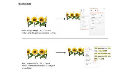 stock_photo_three_sunflowers_for_decoration_and_nature_powerpoint_slide_3.jpg