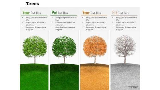 stock_photo_trees_depicting_four_seasons_pwerpoint_slide_1.jpg