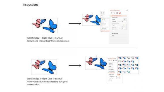 stock_photo_us_and_european_butterflies_powerpoint_slide_3.jpg