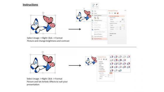 stock_photo_us_and_israel_butterflies_powerpoint_slide_3.jpg