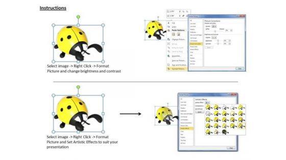 stock_photo_yellow_lady_bug_insect_powerpoint_slide_3.jpg
