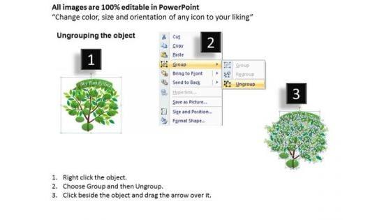 strategy_diagram_family_tree_business_finance_strategy_development_2.jpg
