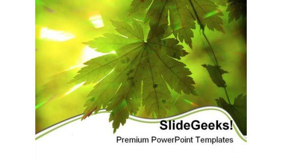 summer_forest_rays_nature_powerpoint_templates_and_powerpoint_backgrounds_0511_title.jpg