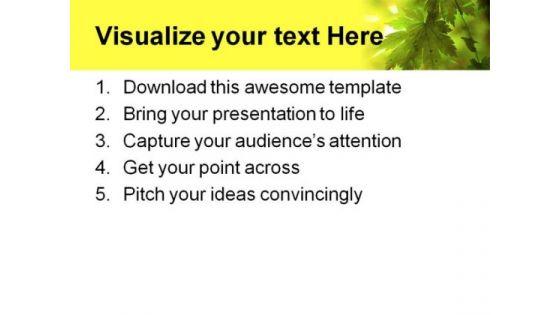 summer_forest_rays_nature_powerpoint_themes_and_powerpoint_slides_0511_print.jpg