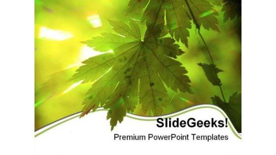 summer_forest_rays_nature_powerpoint_themes_and_powerpoint_slides_0511_title.jpg
