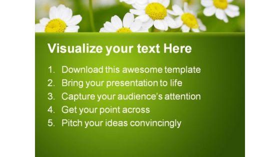 summer_time_daisies_nature_powerpoint_templates_and_powerpoint_backgrounds_0311_text.jpg