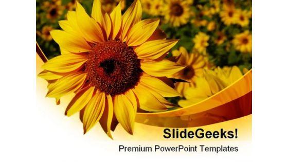sunflower01_nature_powerpoint_templates_and_powerpoint_backgrounds_0211_title.jpg