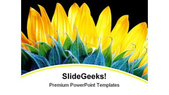 sunflower_beauty_nature_powerpoint_backgrounds_and_templates_1210_title.jpg