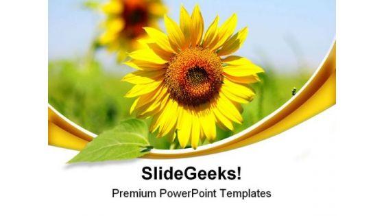 sunflower_beauty_powerpoint_themes_and_powerpoint_slides_0511_title.jpg