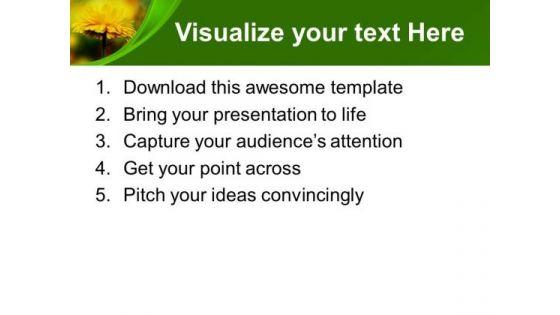 sunflower_for_decoration_celebration_powerpoint_templates_ppt_backgrounds_for_slides_0313_print.jpg