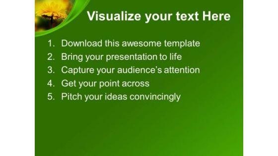 sunflower_for_decoration_celebration_powerpoint_templates_ppt_backgrounds_for_slides_0313_text.jpg