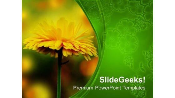 sunflower_for_decoration_celebration_powerpoint_templates_ppt_backgrounds_for_slides_0313_title.jpg