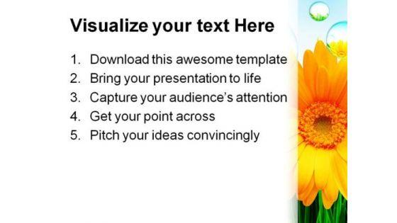 sunflower_nature_powerpoint_template_1110_print.jpg