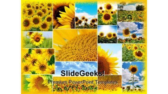 sunflowers_collage_beauty_abstract_powerpoint_templates_and_powerpoint_backgrounds_0211_title.jpg