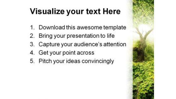 sunlight_in_forest_nature_powerpoint_template_0910_print.jpg