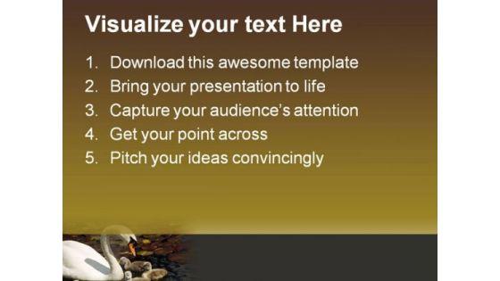 swan_stroll_animals_powerpoint_themes_and_powerpoint_slides_0511_text.jpg
