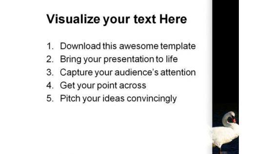 swans_together_animals_powerpoint_themes_and_powerpoint_slides_0511_print.jpg