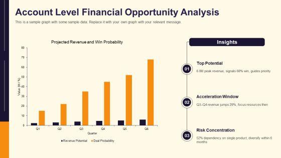Target Account Selling Opportunity Plan PPT Example VM