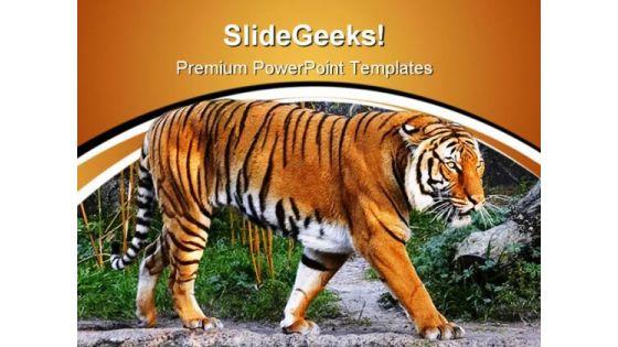 tiger_animals_powerpoint_templates_and_powerpoint_backgrounds_0611_title.jpg