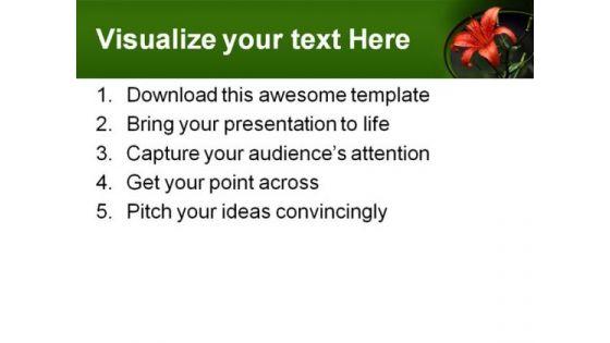 tiger_lily_beauty_powerpoint_templates_and_powerpoint_backgrounds_0311_print.jpg
