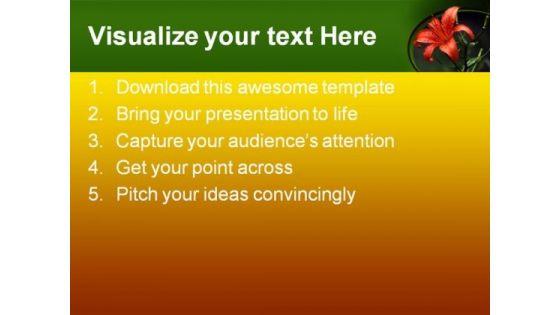 tiger_lily_beauty_powerpoint_templates_and_powerpoint_backgrounds_0311_text.jpg