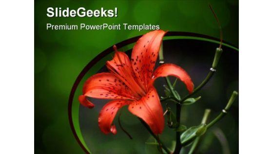 tiger_lily_beauty_powerpoint_templates_and_powerpoint_backgrounds_0311_title.jpg