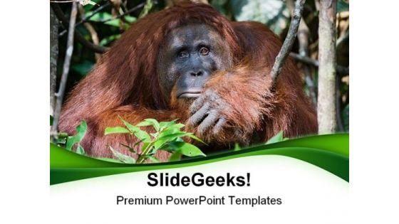 today_very_sad_animals_powerpoint_templates_and_powerpoint_backgrounds_0111_title.jpg