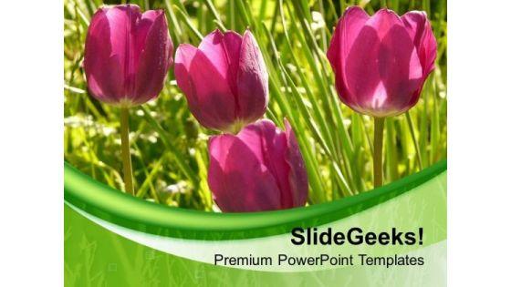 tulip_flower_background_with_green_color_powerpoint_templates_ppt_backgrounds_for_slides_0713_title.jpg