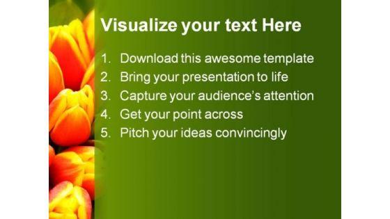 tulip_flower_beauty_powerpoint_backgrounds_and_templates_1210_text.jpg