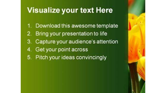 tulips_beauty_powerpoint_templates_and_powerpoint_backgrounds_0211_text.jpg