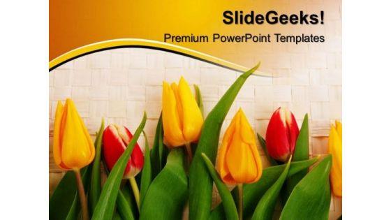 tulips_beauty_powerpoint_templates_and_powerpoint_themes_0512_title.jpg
