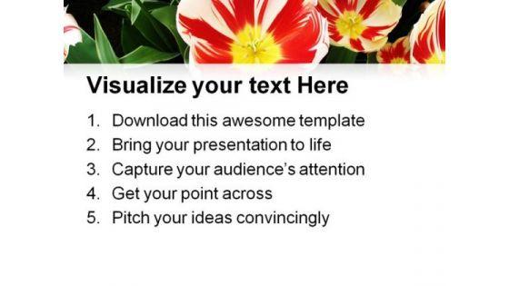 tulips_flower_beauty_powerpoint_themes_and_powerpoint_slides_0411_print.jpg