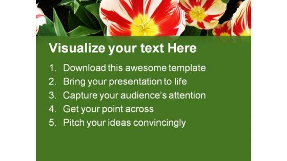 tulips_flower_beauty_powerpoint_themes_and_powerpoint_slides_0411_text.jpg