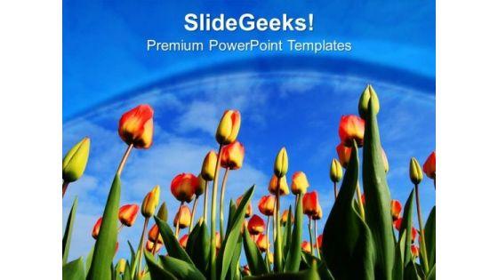 tulips_in_garden_for_decoration_powerpoint_templates_ppt_backgrounds_for_slides_0313_title.jpg
