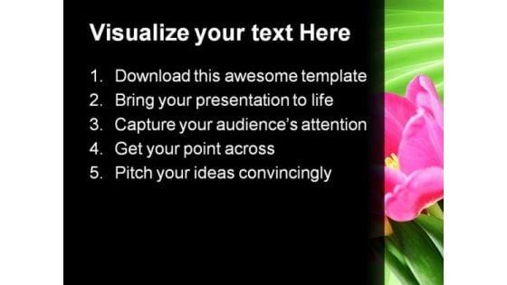 tulips_on_green_abstract_beauty_powerpoint_templates_and_powerpoint_backgrounds_0311_text.jpg