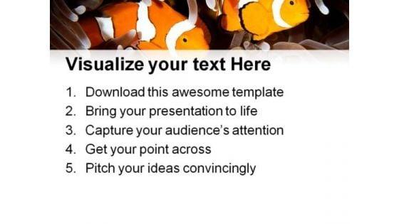 two_clown_fishes_animals_powerpoint_themes_and_powerpoint_slides_0211_print.jpg