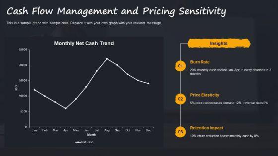 Virtual Assistant Business Plan PPT Outline VM