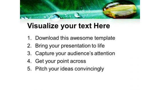water_drop_on_leaf_powerpoint_templates_ppt_backgrounds_for_slides_0513_print.jpg