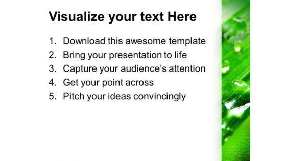 waterdrop_on_fern_leaves_nature_powerpoint_templates_ppt_backgrounds_for_slides_0213_print.jpg